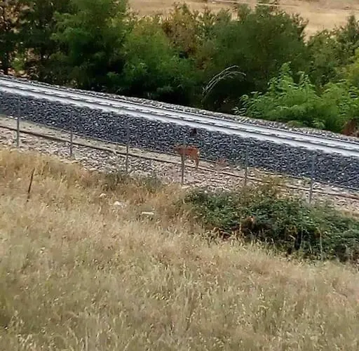 La Casa Dell'orso - Parco D'abruzzo * Carrito